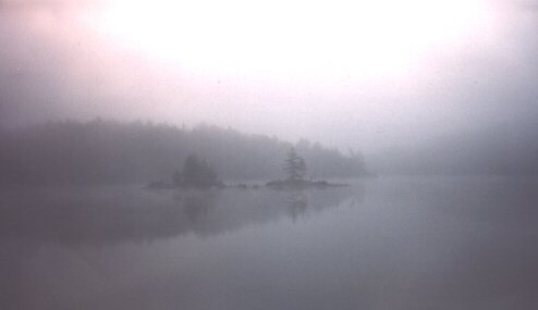 Foggy morning on Sherborne Lake