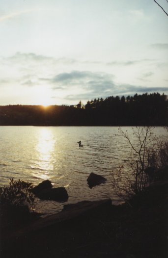 Sunset and Loons on Kimball Lake