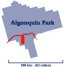 Small Algonquin Park