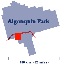 Small Algonquin Park