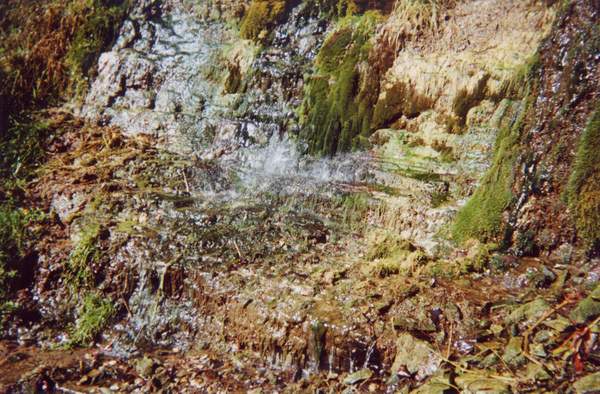Mossy cascade beside Webster's Falls