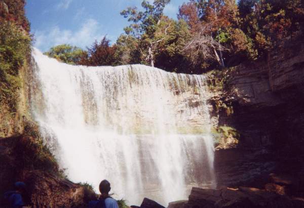 Webster's Falls