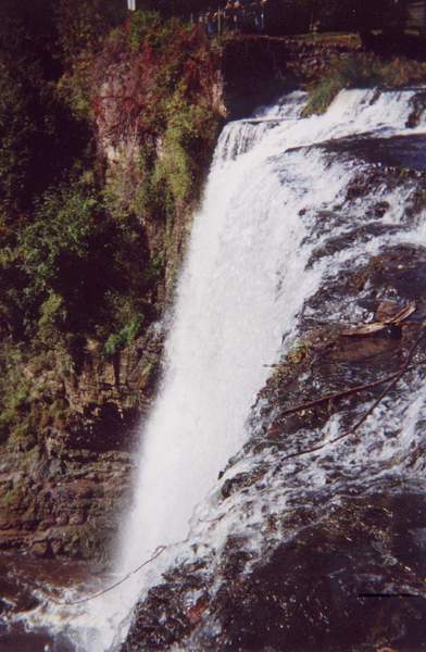 Webster's Falls